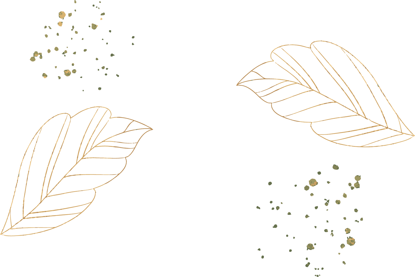 Decorative Image
